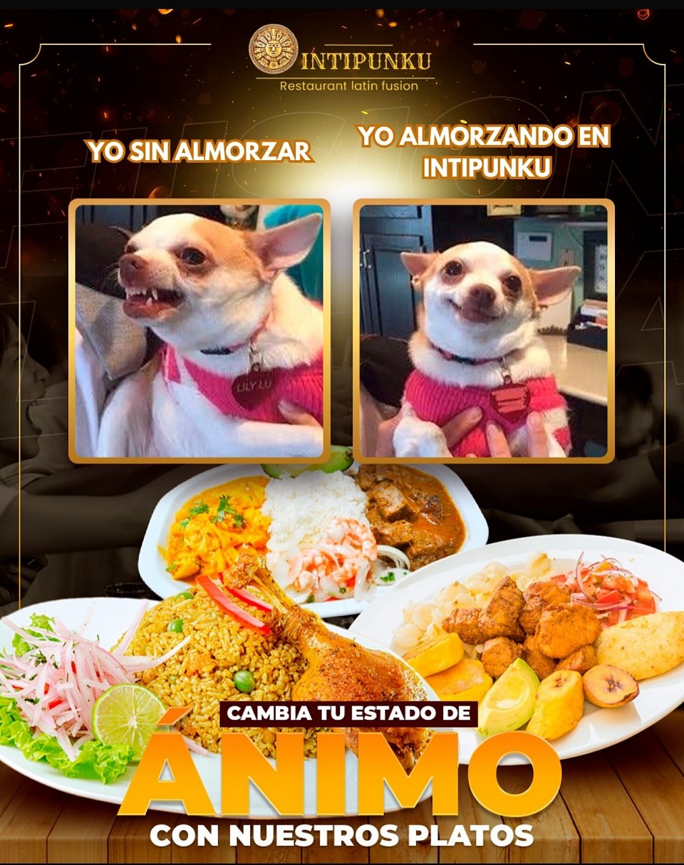 Migliora il tuo stato di animo